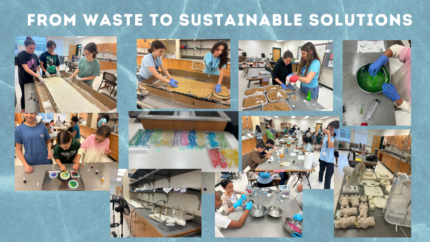 From Waste to Sustainable Solutions, a Summer Innovation Academy project collage